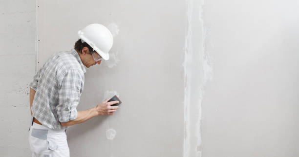 Best Drywall Sanding and Smoothing  in Hahira, GA